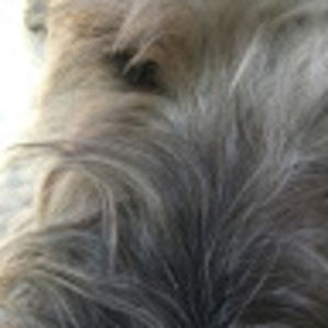 Meet your Posher, Maeve